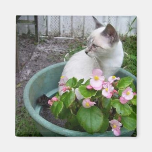 Kittie and Blume Pot Magnet (Vorne)