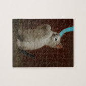 Kittie Puzzle (Horizontal)