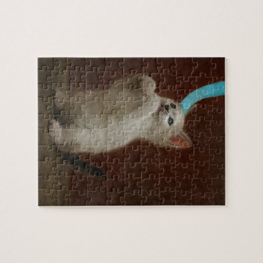 Kittie Puzzle (Horizontal)