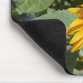 Kittitas County, Sunflower Field Mousepad (Ecke)