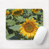 Kittitas County, Sunflower Field Mousepad (Mit Mouse)