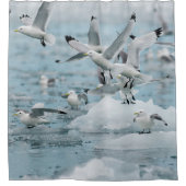 Kittiwakes Flying Duschvorhang (Vorderseite)