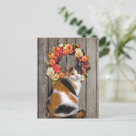 "Kittles" Postkarte (Stehend Vorderseite)