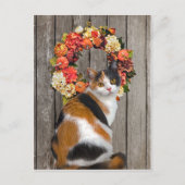 "Kittles" Postkarte (Vorderseite)