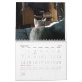 kittty Kalender (Feb 2027)