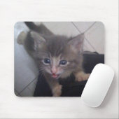 kittty mousepad (Mit Mouse)