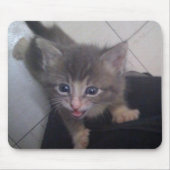 kittty mousepad (Vorne)