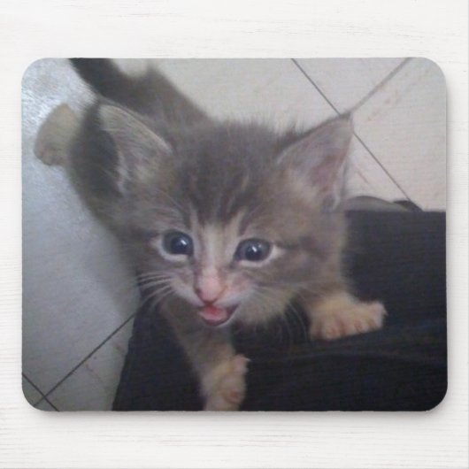 kittty mousepad (Vorne)