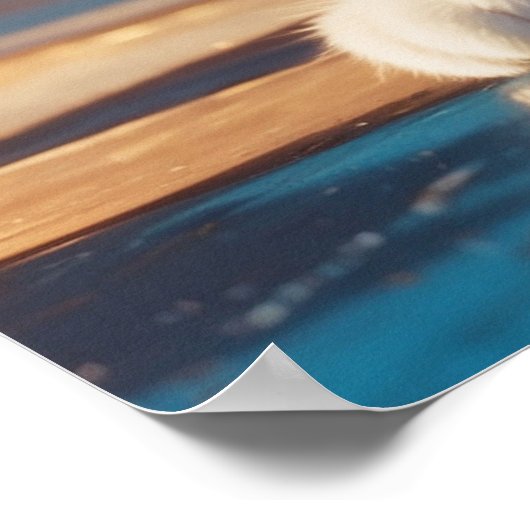 *~* Kitty 5:4 Feline Kitten Cat Black Tuxedo Poster (Ecke)