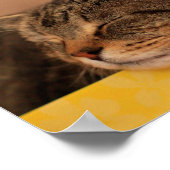 Kitty Advice Inspiration Poster (Ecke)