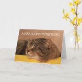Kitty Advisor Inspirational Get Well Karte (Gelbe Blume)