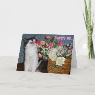 Kitty Allergie verschlucken, um gute Blume zu beko Karte