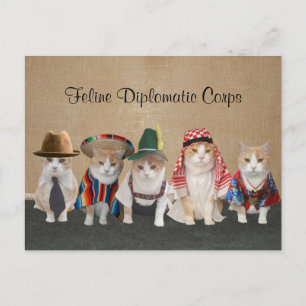 Kitty Ambassadors Postkarte