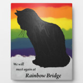 Kitty an der Rainbow Bridge Fotoplatte (Vorderseite)