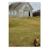 Kitty an der Schule (Vorne)