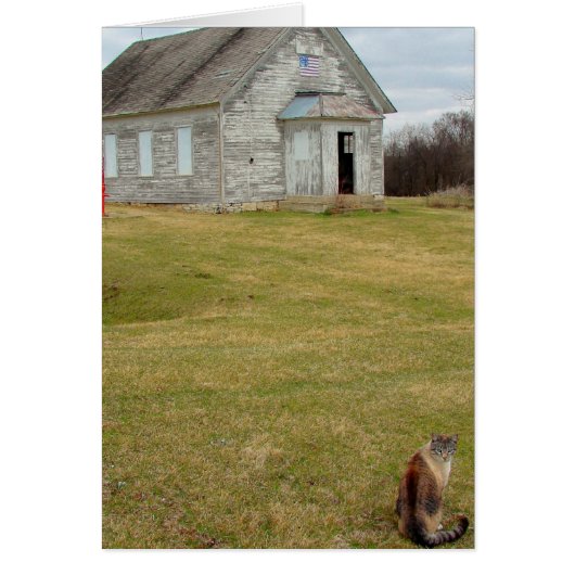 Kitty an der Schule (Vorne)