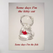 Kitty and Fish Poster (Vorne)