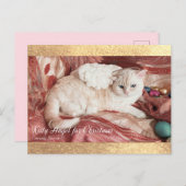 Kitty Angel for Chrismas Ankündigungspostkarte (Vorne/Hinten)