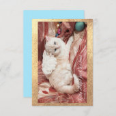 Kitty Angel for Christmas Dankeskarte (Vorne/Hinten)