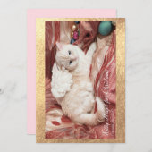 Kitty Angel For Christmas Dankeskarte (Vorne/Hinten)