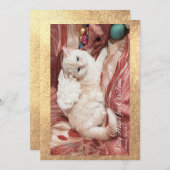 Kitty Angel for Christmas Feiertagskarte (Vorne/Hinten)