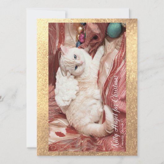 Kitty Angel for Christmas Karte (Vorderseite)