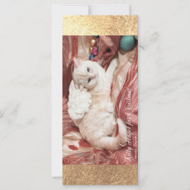 Kitty Angel for Christmas Karte