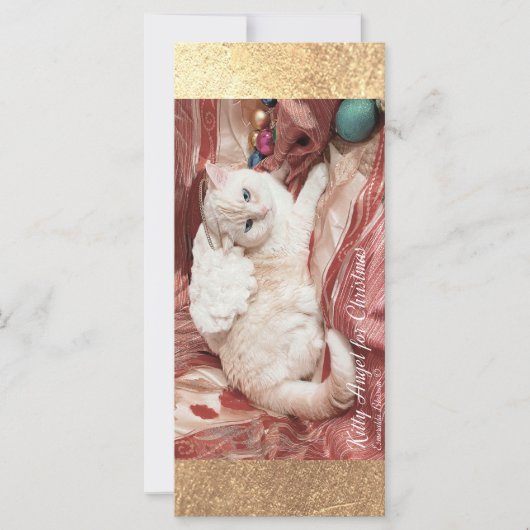 Kitty Angel for Christmas Karte (Vorderseite)