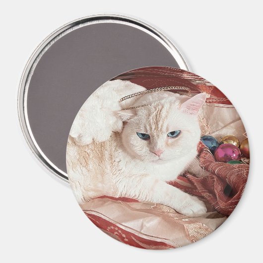 Kitty Angel for Christmas Magnet (Vorderseite/Rückseite)