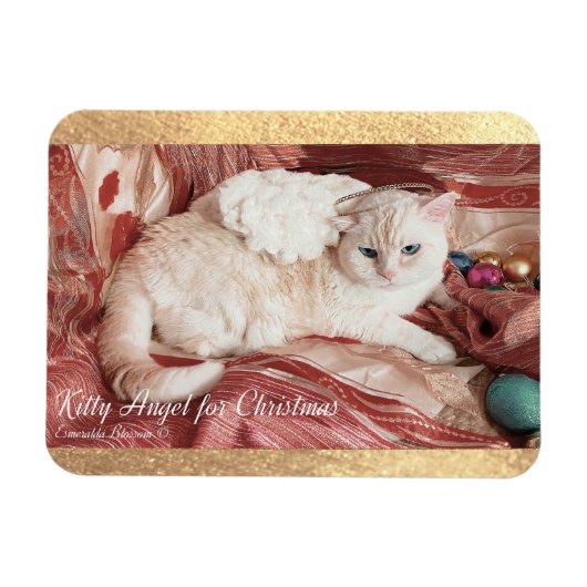 Kitty Angel for Christmas Magnet (Horizontal)