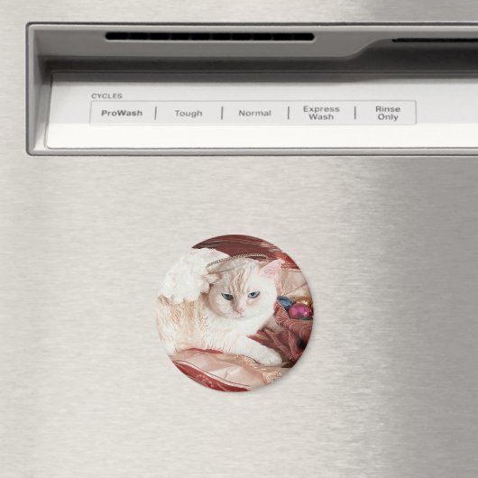 Kitty Angel for Christmas Magnet (In Situ (Geschirrspüler))