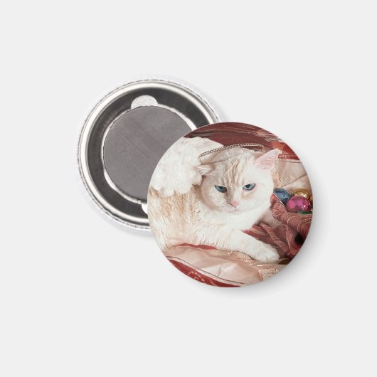 Kitty Angel for Christmas Magnet (Vorderseite/Rückseite)