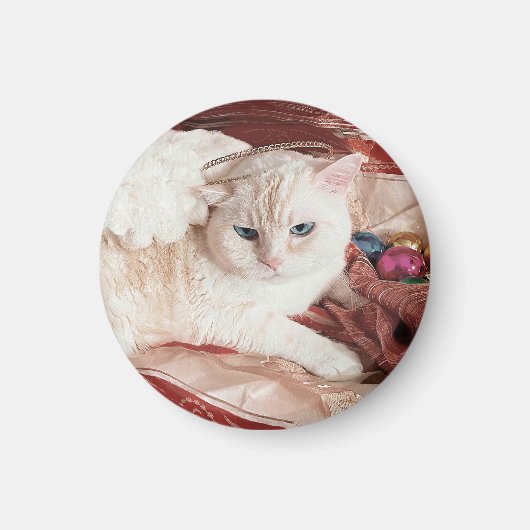 Kitty Angel for Christmas Magnet (Vorne)