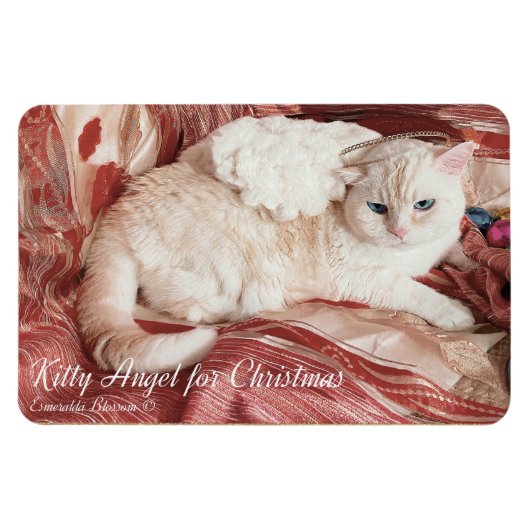 Kitty Angel for Christmas Magnet (Horizontal)