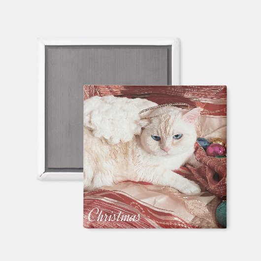 Kitty Angel for Christmas Magnet (Vorderseite/Rückseite)
