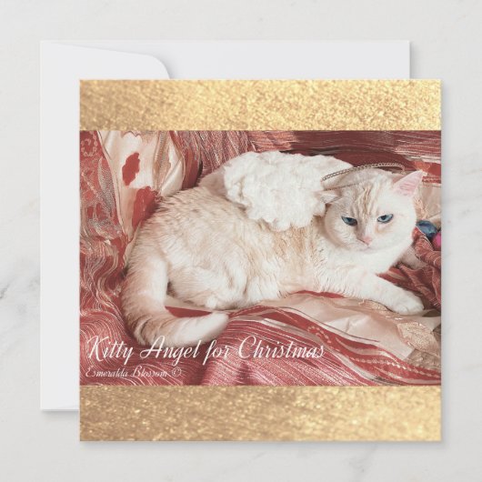 Kitty Angel for Christmas Mitteilungskarte (Vorderseite)