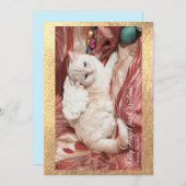 Kitty Angel for Christmas Mitteilungskarte (Vorne/Hinten)