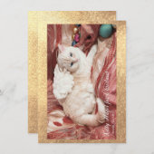 Kitty Angel for Christmas Mitteilungskarte (Vorne/Hinten)