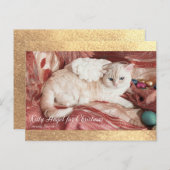 Kitty Angel for Christmas Postkarte (Vorne/Hinten)