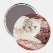 Kitty Angel zu Weihnachten Magnet (Vorderseite/Rückseite)