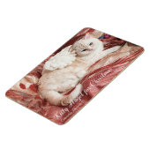 Kitty Angel zu Weihnachten Magnet (Linke Seite)