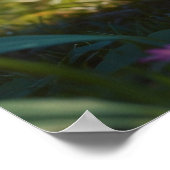 *~* Kitty AP68 5:4 Fluffy ORANGE Feline Kitten Poster (Ecke)