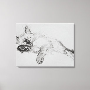 Kitty 'Baby' Leinwanddruck
