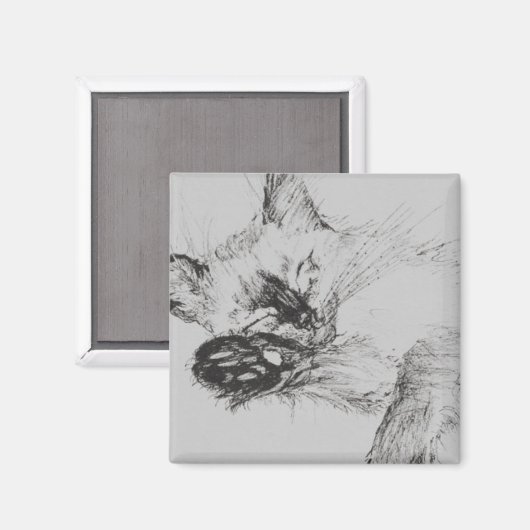 Kitty 'Baby' Magnet (Vorderseite/Rückseite)