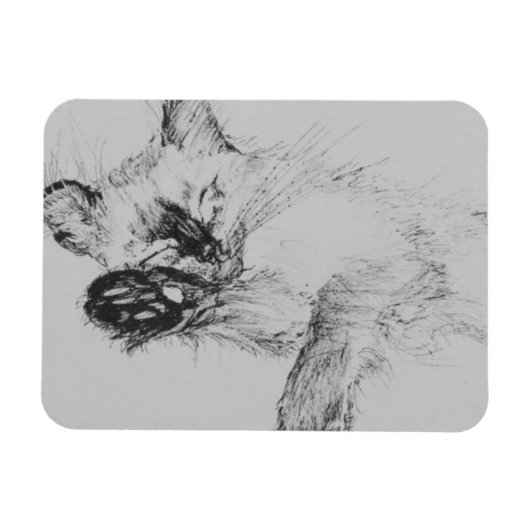Kitty 'Baby' Magnet (Horizontal)