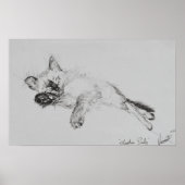 Kitty 'Baby' Poster (Vorne)