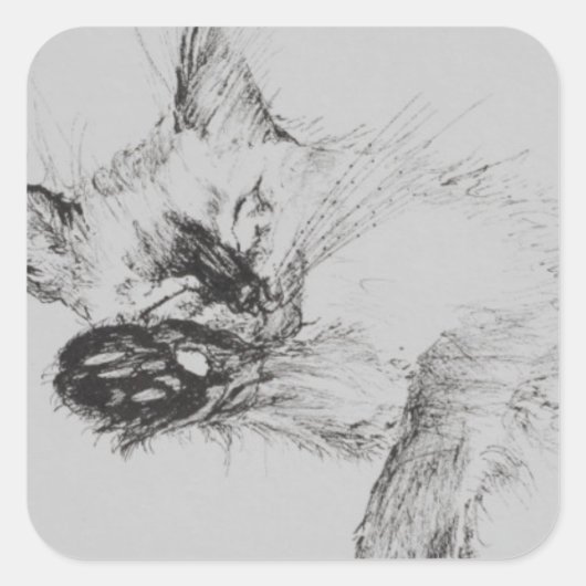 Kitty 'Baby' Quadratischer Aufkleber (Vorderseite)