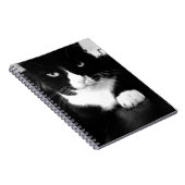 Kitty Bad Attitude - Impress Me - Notebook Notizblock (Rechte Seite)