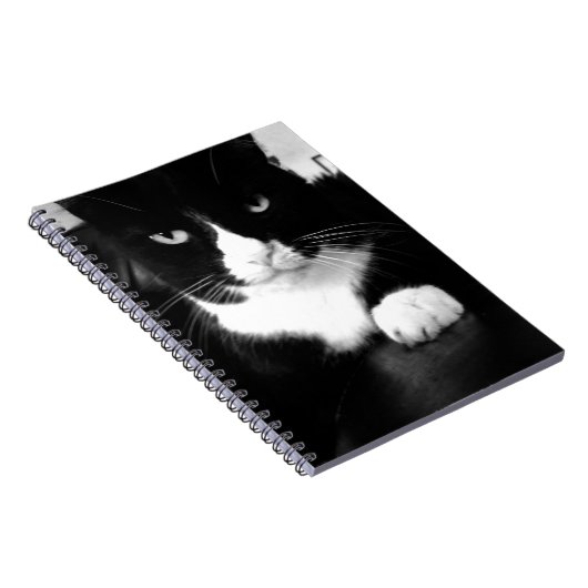 Kitty Bad Attitude - Impress Me - Notebook Notizblock (Rechte Seite)