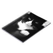 Kitty Bad Attitude - Impress Me - Notebook Notizblock (Linke Seite)